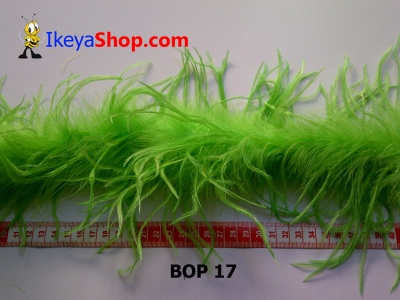 bulu ostrich BOP 17   feather  large2
